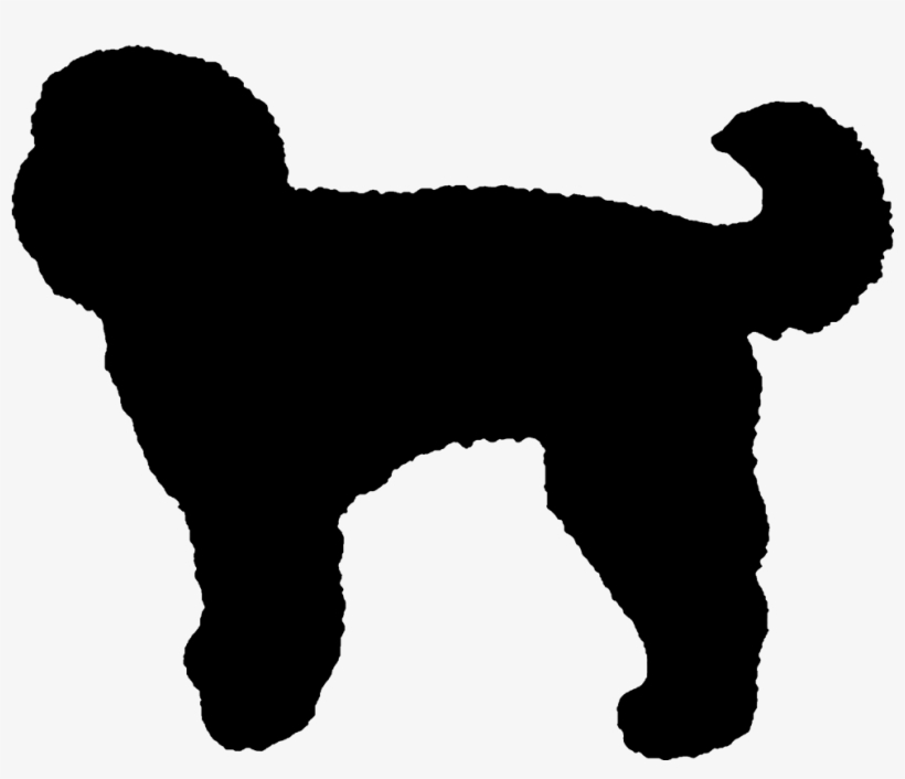 Gold Chain Drawing At Getdrawings - Goldendoodle Silhouette, transparent png