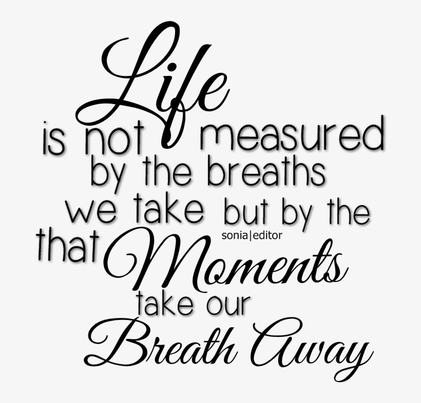 Black Text Png - Quote Designs Vinyl Decal In These Moments Time Stood, transparent png