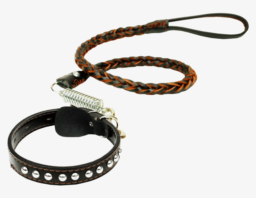 Love It Beautiful Dog Chain Dog Rope Pet Leash In The - Leash, transparent png
