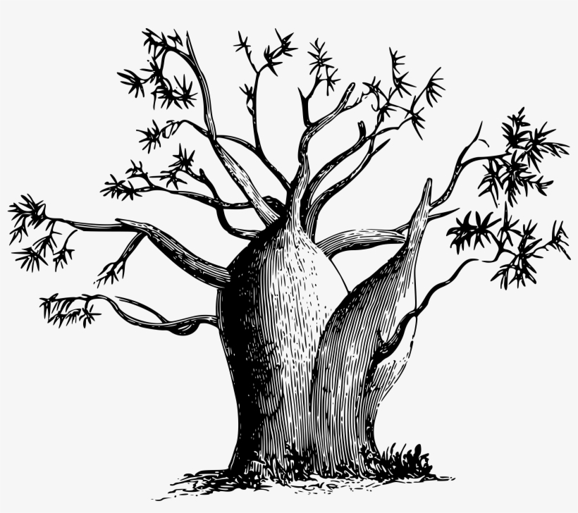 This Free Icons Png Design Of Gouty-stem Tree, transparent png