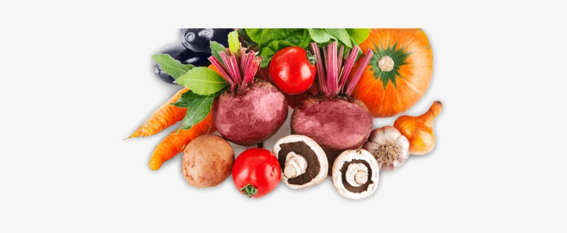 Fresh Vegetables The Best Organic Vegetables From Around - Vegetable, transparent png