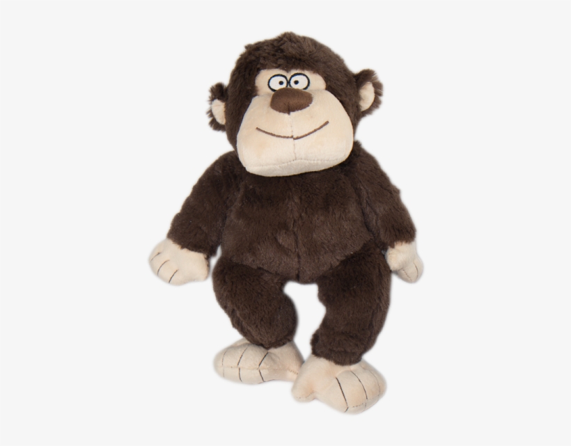 More Views - Monkey, transparent png