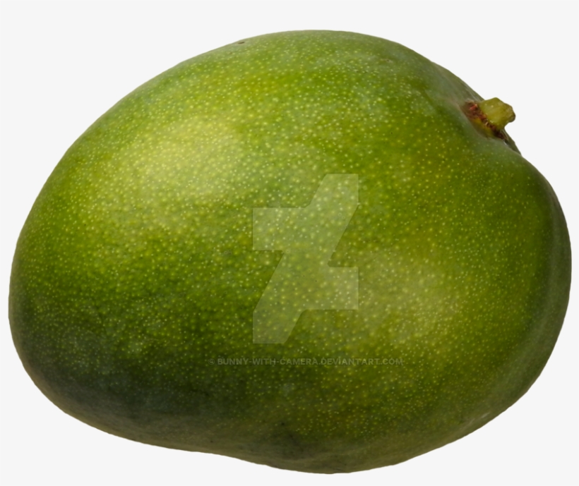 Green Mango Png Banner Freeuse Library - Portable Network Graphics, transparent png