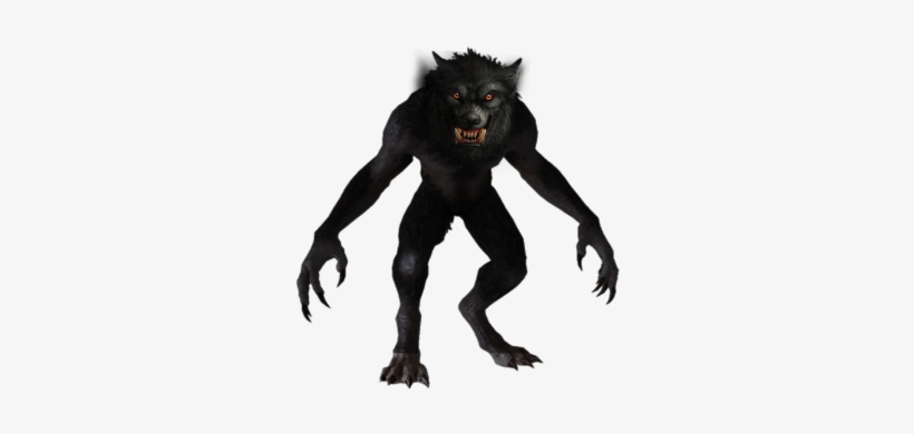 Dogmen, Human-canine Hybrids Similar, To Werewolf Descriptions - Weerwolf Png, transparent png