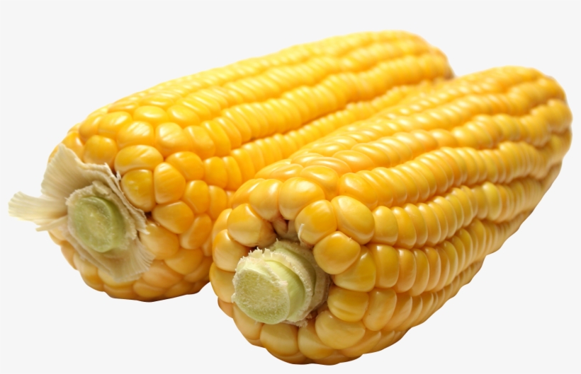 Corn Png, transparent png