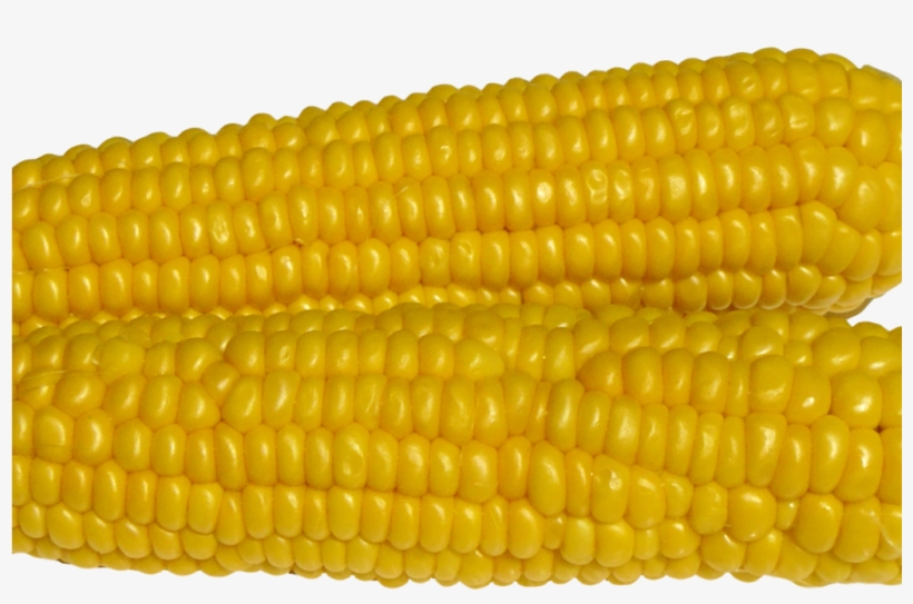 Corn Png Image - Maize, transparent png