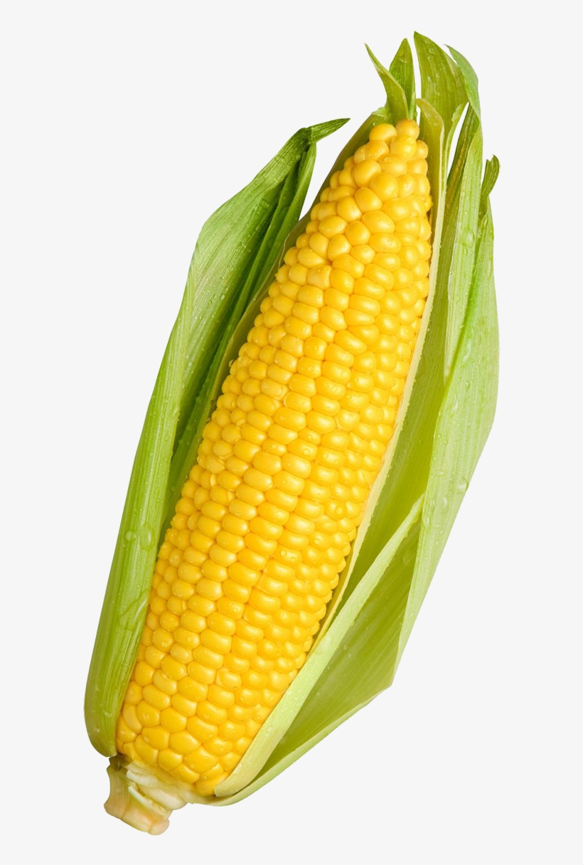 Corn - Vegetables Corn, transparent png