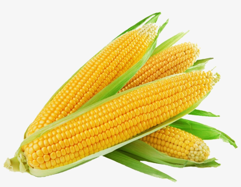 Sweet Corn, transparent png