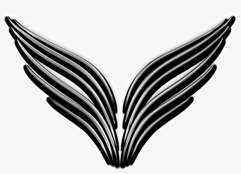 Home - Whales, transparent png