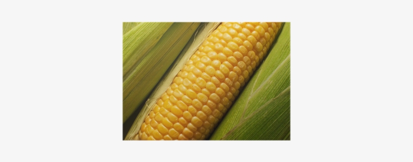 Maize, transparent png