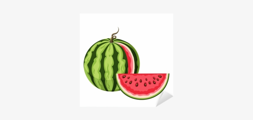 Watermelon With A Slice - Karpuz Çizim, transparent png