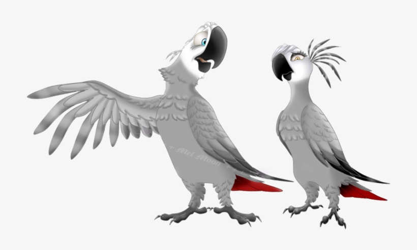 African Grey Parrots By Melhellmoon On Deviantart - African Gray Parrot Drawing, transparent png
