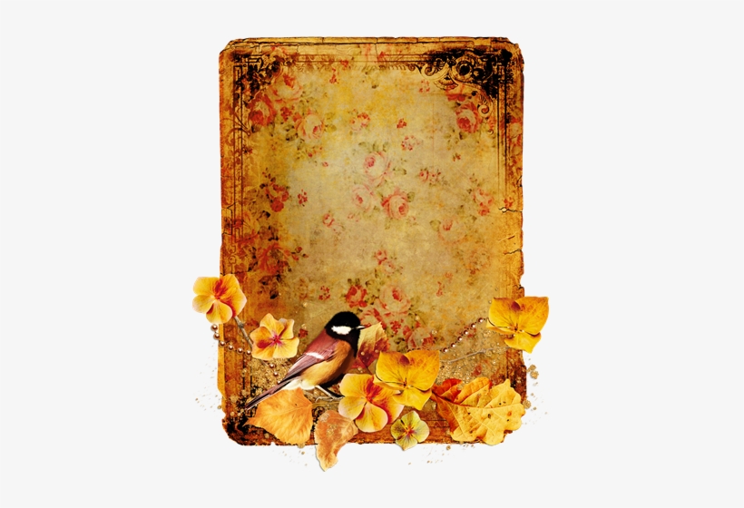 [51%255b3%255d ] - Clip Art, transparent png