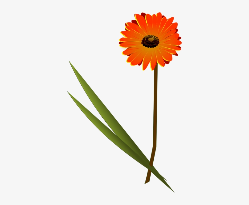 Orange Gerbera Daisy Png, transparent png