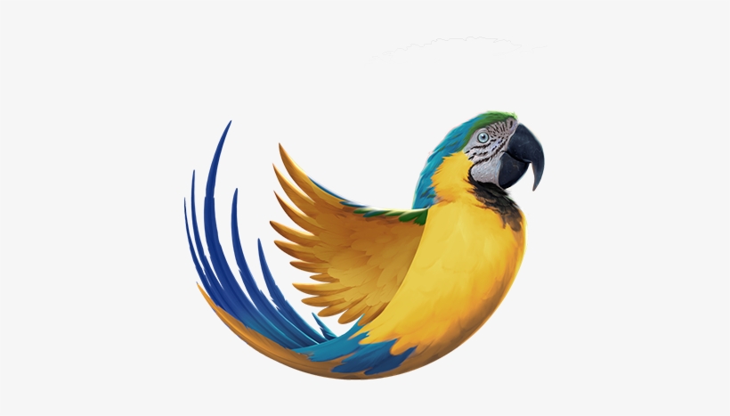 Bald Eagle - Macaw, transparent png