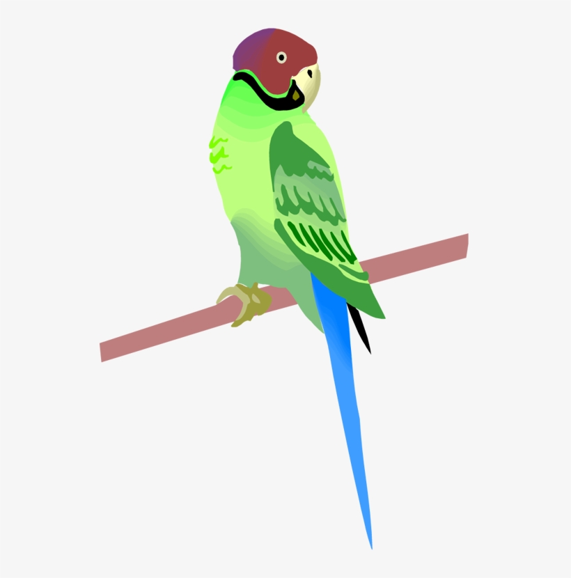 Free Parrot And Macaw Clipart - Clip Art, transparent png