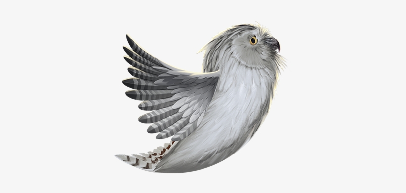 Bald Eagle - Cockatiel, transparent png