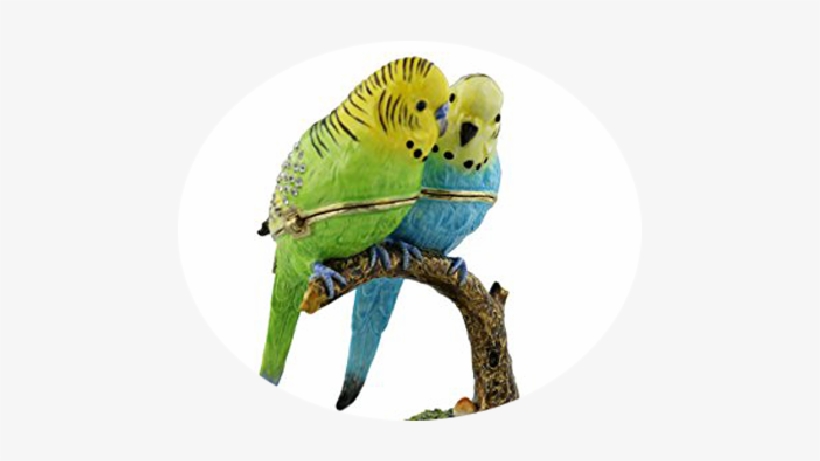 Budgerigar - Juliana Treasured Two Budgerigars On Branch Hinged, transparent png