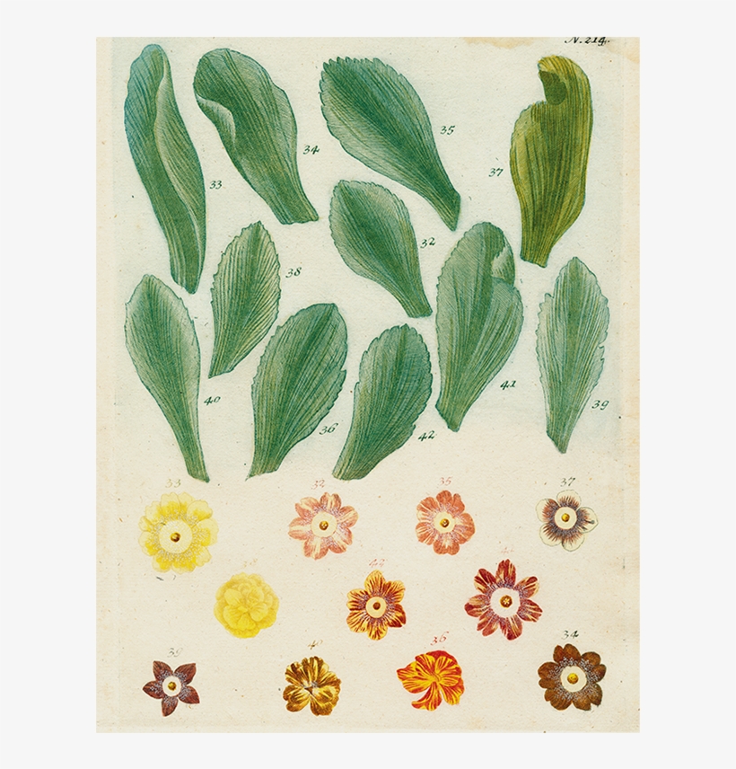 028 770ccd65 Bd2c 4a84 A67d 504e82f7c034 V=1527800778 - John Derian Picture Book, transparent png