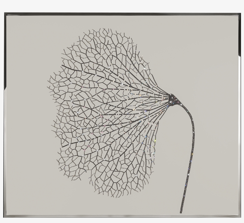 Sketch, transparent png