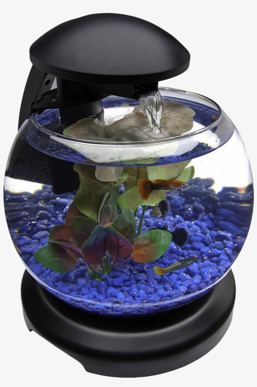 Glob Aquarium Fish Tank Png Transparent Image - Png Transparent Fish Tank Png, transparent png