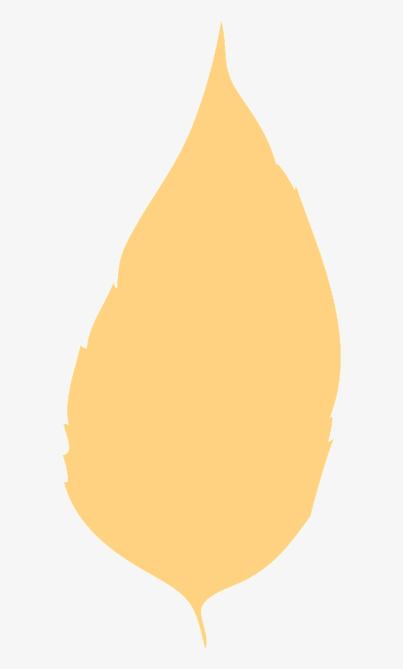 Forest, Leaf Autumn Leaf Dry Leaf Birch Leaf Birch, transparent png