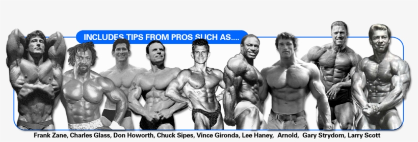 9 Protips Banner Nodave - Larry Scott Vs Frank Zane, transparent png
