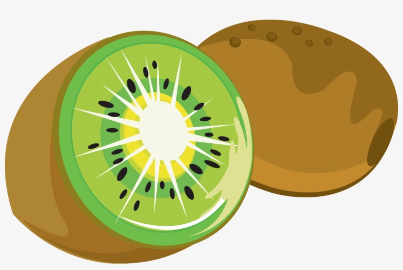Kiwi Clip Art Clipartbarn Clipart Png - Kiwi Clipart Transparent, transparent png