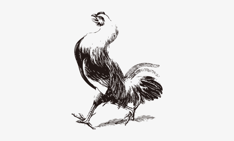 Illustration, transparent png