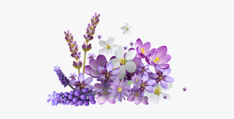 Vc Mylevander El44 - Buon Giovedi Raggio Di Sole, transparent png