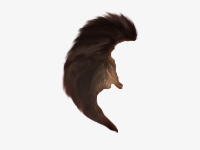 Hair Png - Eagle, transparent png