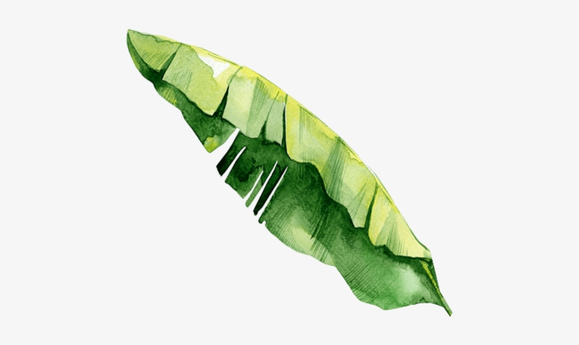 Riot House, transparent png