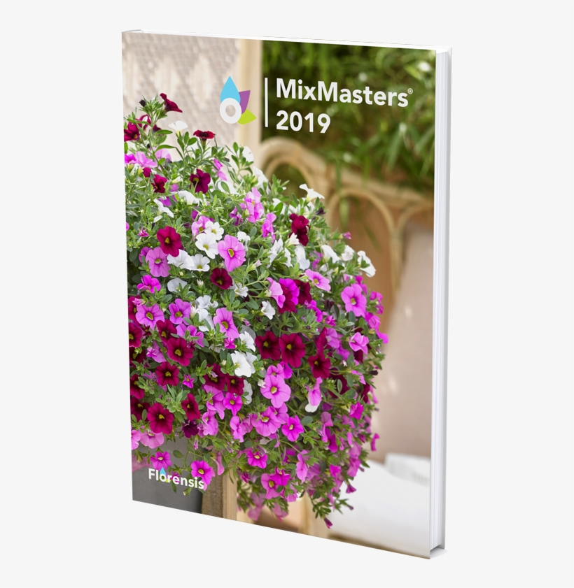 Catalogue View Catalogue - Petunia, transparent png
