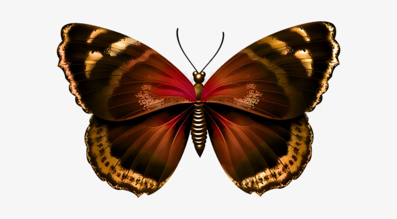 Butterfly Transparent Png Image - Blue Butterfly Transparent, transparent png