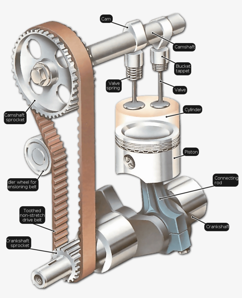 How The Valves Open And Close - Difference Between Camshaft And Crankshaft, transparent png