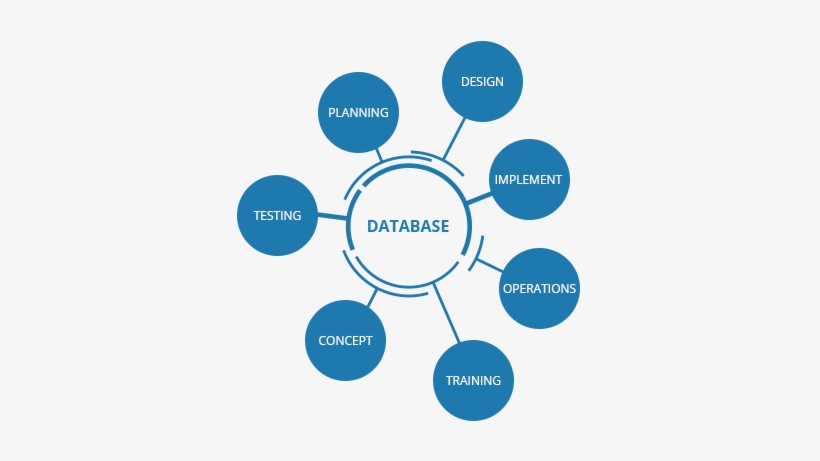 Maximize Your Databases And Dba's - Erp For Government, transparent png
