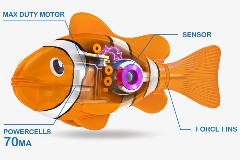 2/5 Real-life Pets - Blowfish, transparent png
