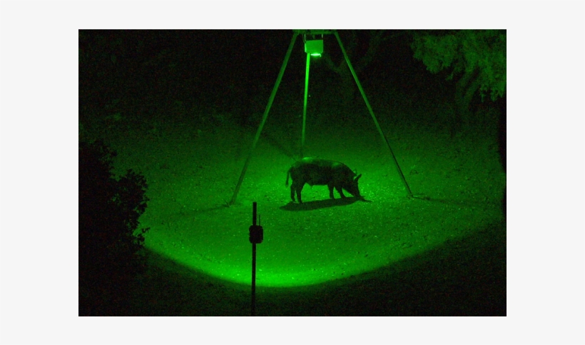 More Views - Blind Side R Feeder Light, transparent png