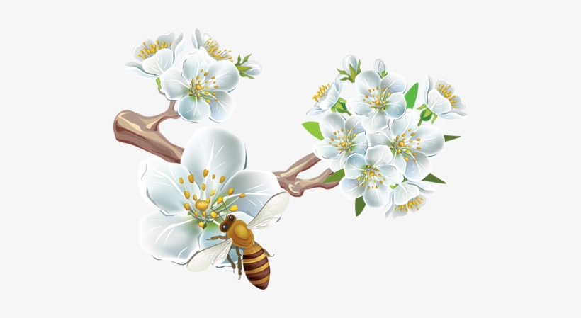 Free Fleurs Branches Kyti Ky Kreslen Pinterest - Весна Пнг, transparent png