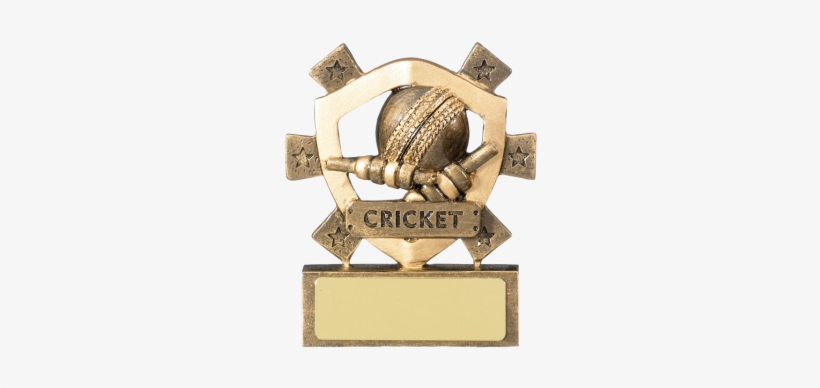 Cricket Mini Shield Trophy - Table Tennis Awards, transparent png