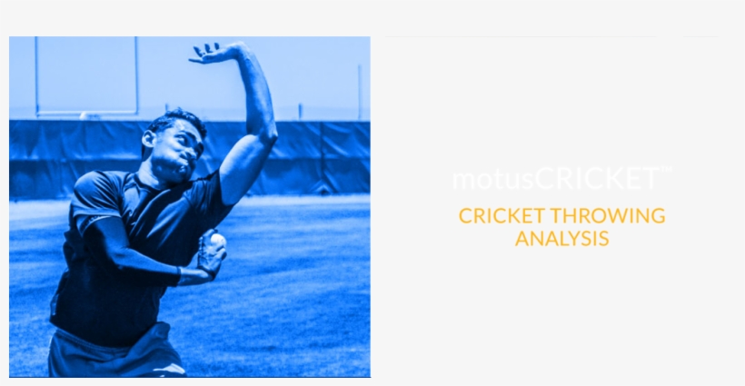Motus Is The World-leader In Advanced Biomechanics - Athlete, transparent png