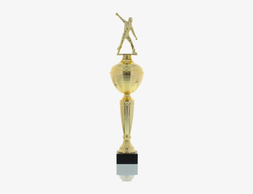 Cricket Thrower 43,0cm - Trophy, transparent png