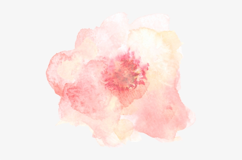 “acudí Al Consultorio Del Médico Que Me Operó Y Me - Rosa Watercolor-blume Mousepad, transparent png