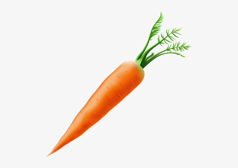 Shutterstock 100447426 [преобразованный] - Carota Png, transparent png