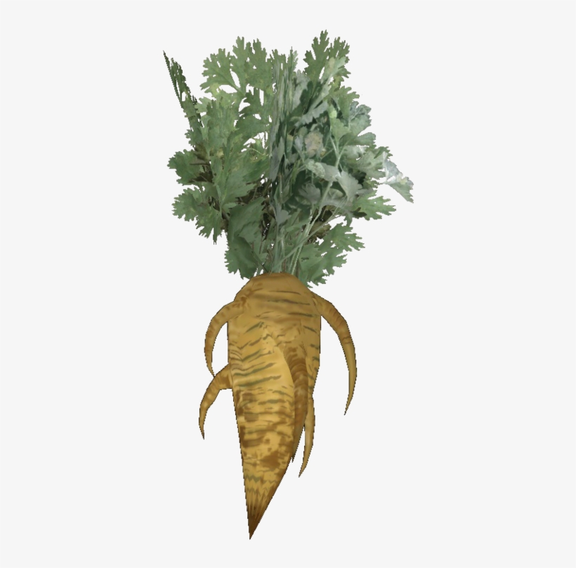 Fresh Carrot - Fallout 4 Carrot, transparent png