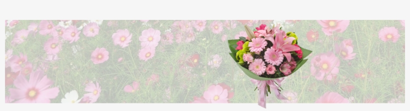 Send Birthday Flowers - Zinnia, transparent png