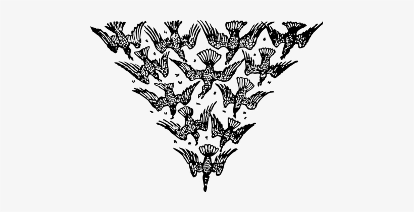 Birds, Flying, Triangle, Formation - Wine Black Bottle Design, transparent png