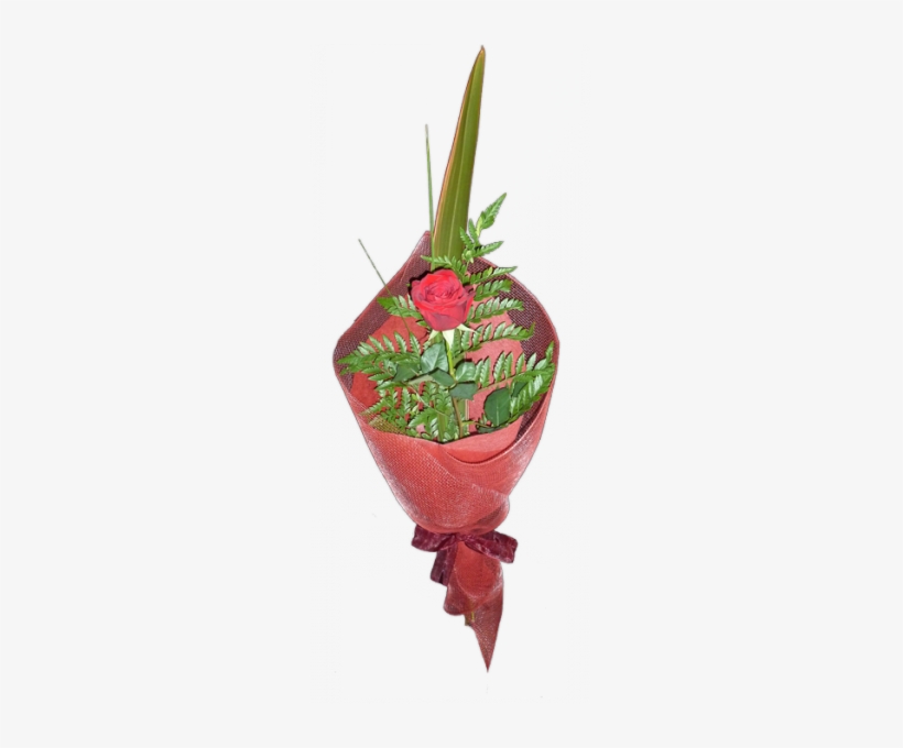 Single Rose - Garden Roses, transparent png