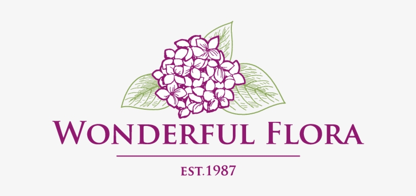 Online Florist Shop Singapore - University Of Colorado At Colorado, transparent png