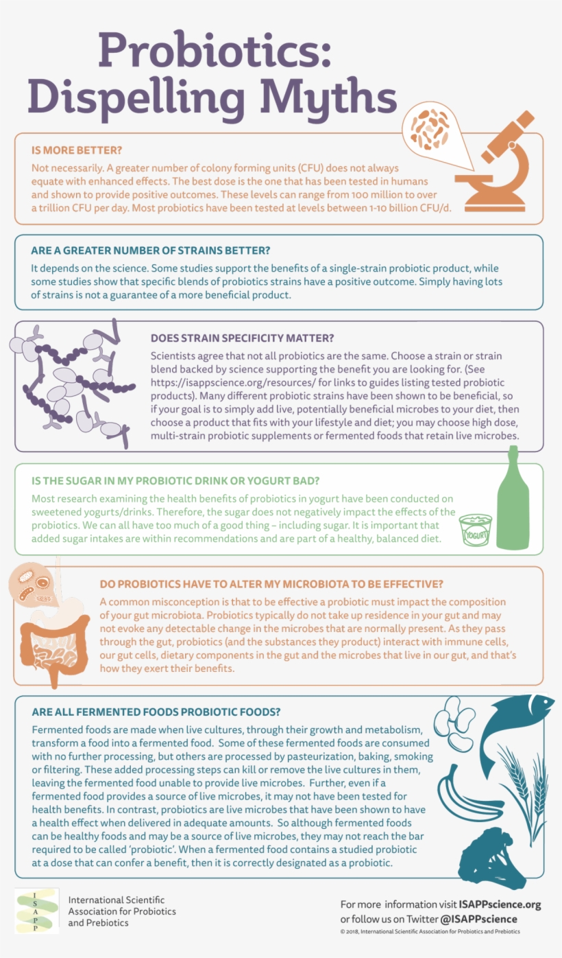 Gutmicrobiota Health On Twitter - Health, transparent png